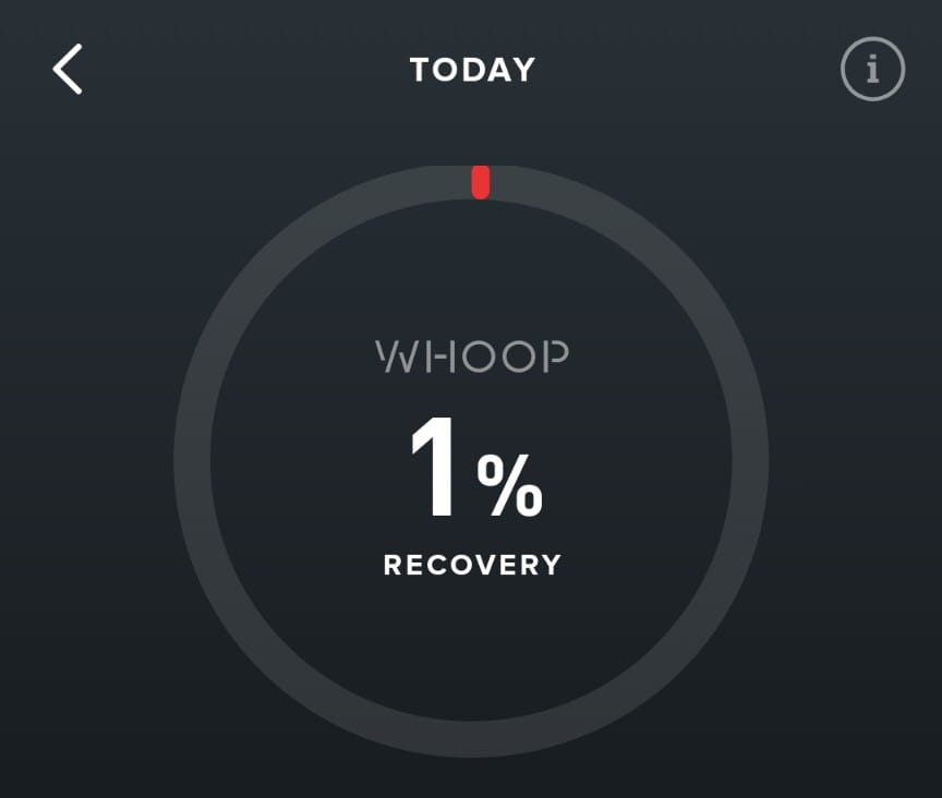 Matty Hempstead tweet media