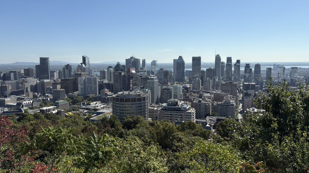 Sirius the goat tweet media