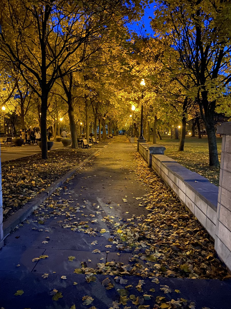 Sirius the goat tweet media