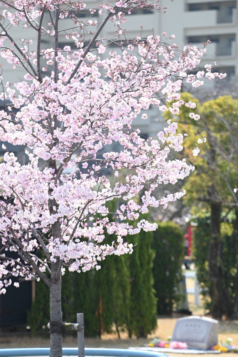 Tomonari Motohashi tweet media