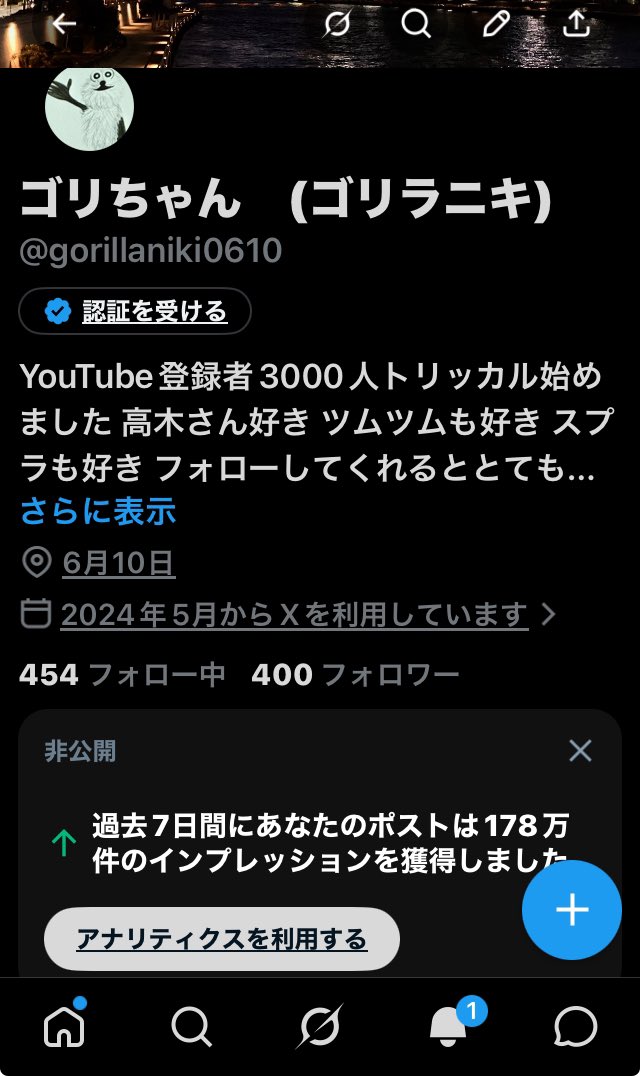ゴリちゃん　(ゴリラニキ) tweet media