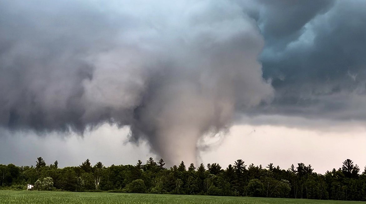 Ben Williams tweet media