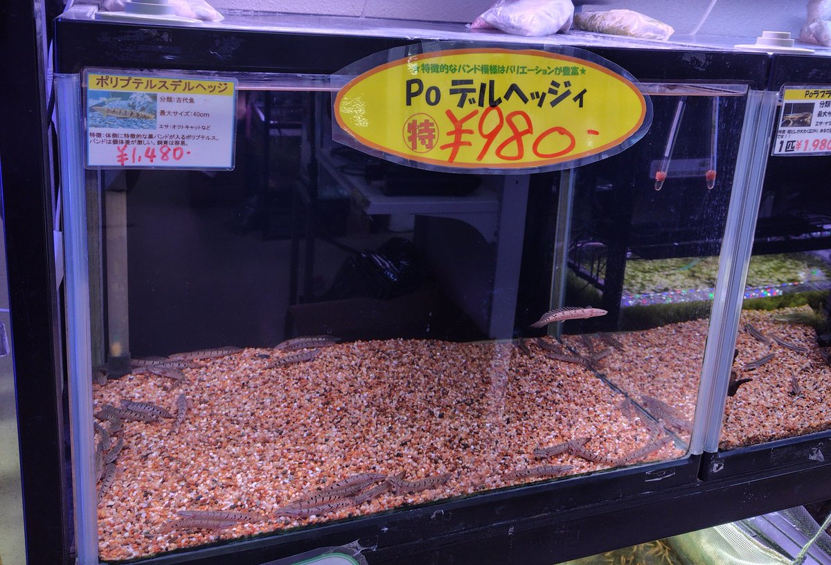 半田 水 園