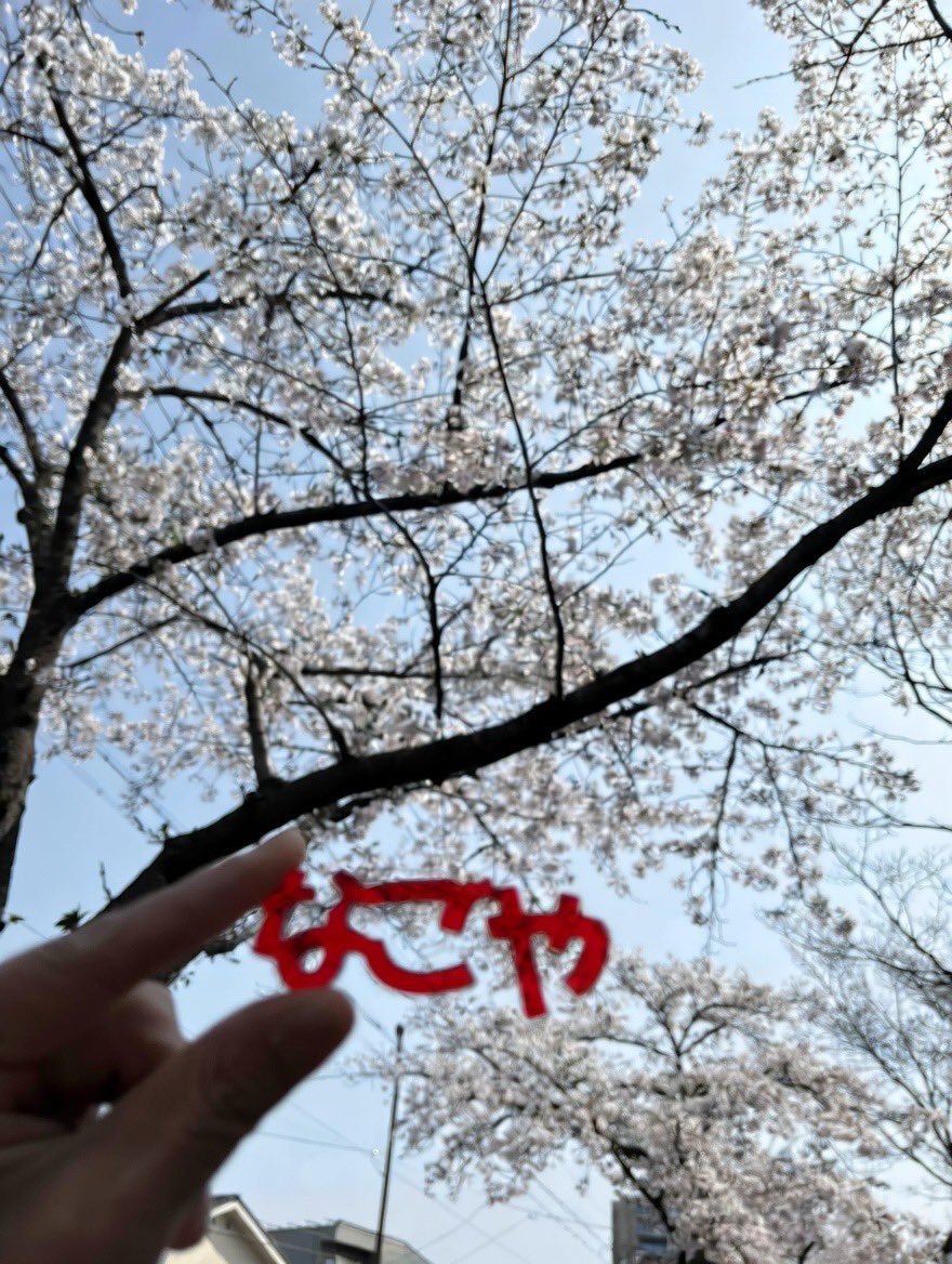 麻綿(あさめん) tweet media