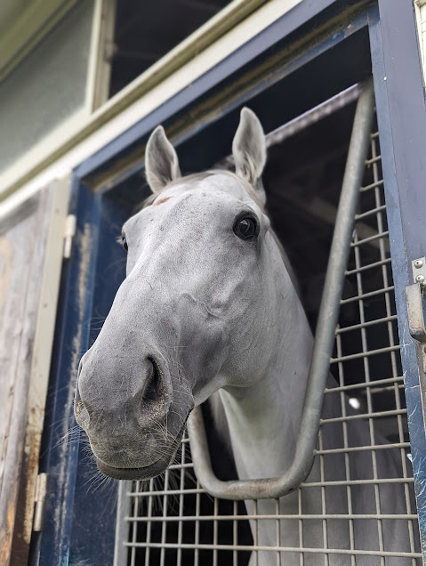 追分ファーム(公式) tweet media