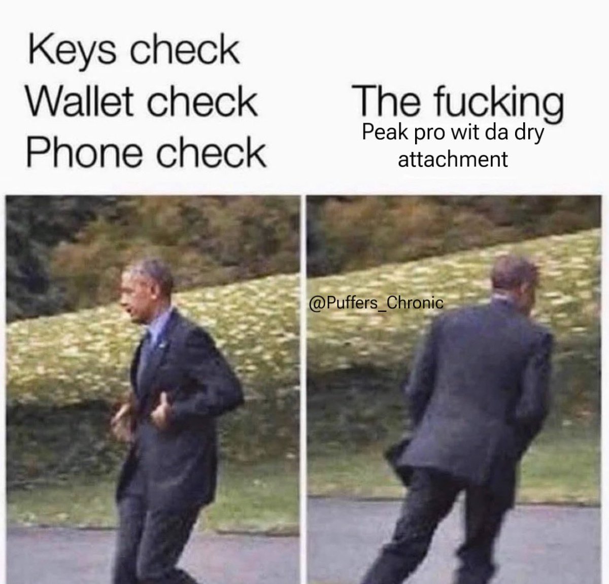 Puffers Chronic tweet media