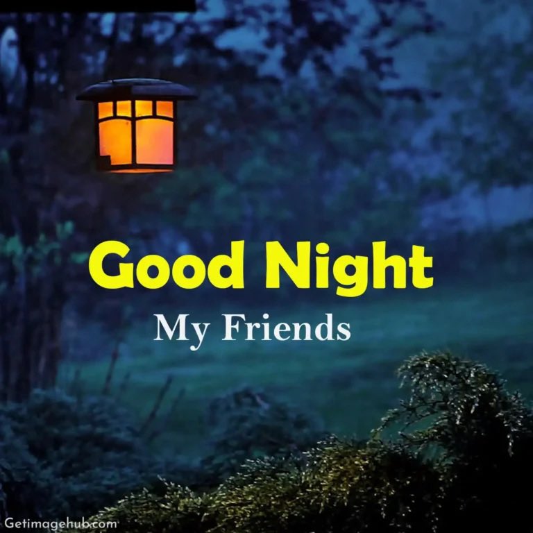 WorldWise tweet media