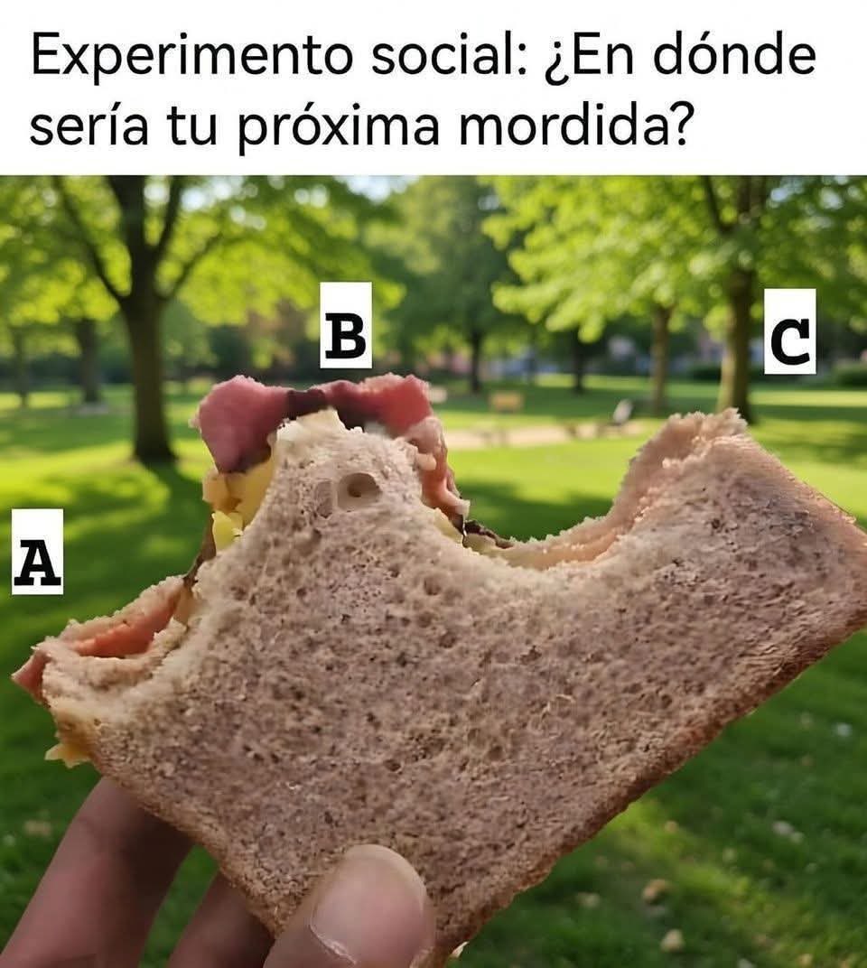 Palomín tweet media