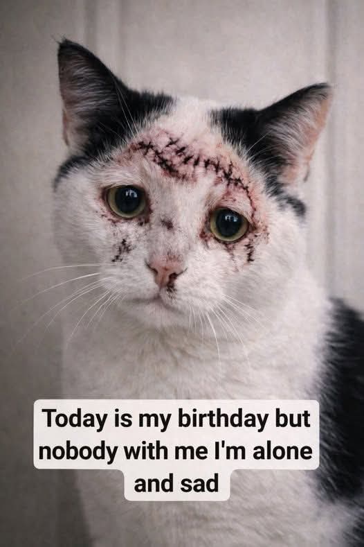 Kristina Bolten tweet media