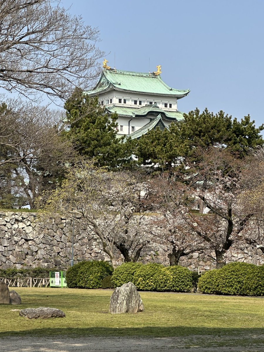 スローハンド tweet media