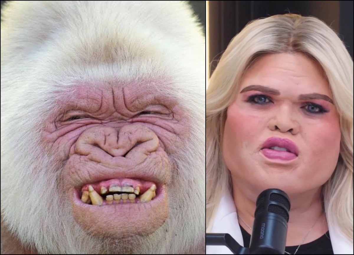 BlueEyedDevil tweet media