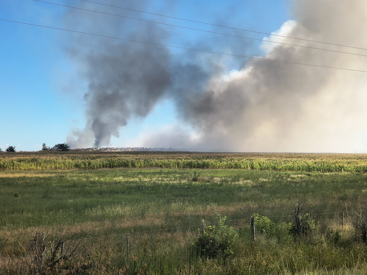 Lagunero tweet media