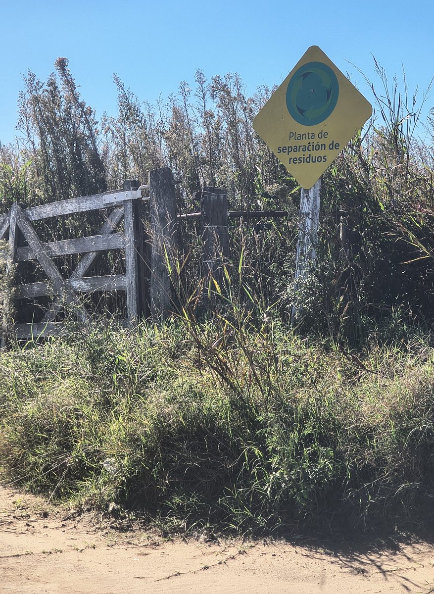 Lagunero tweet media