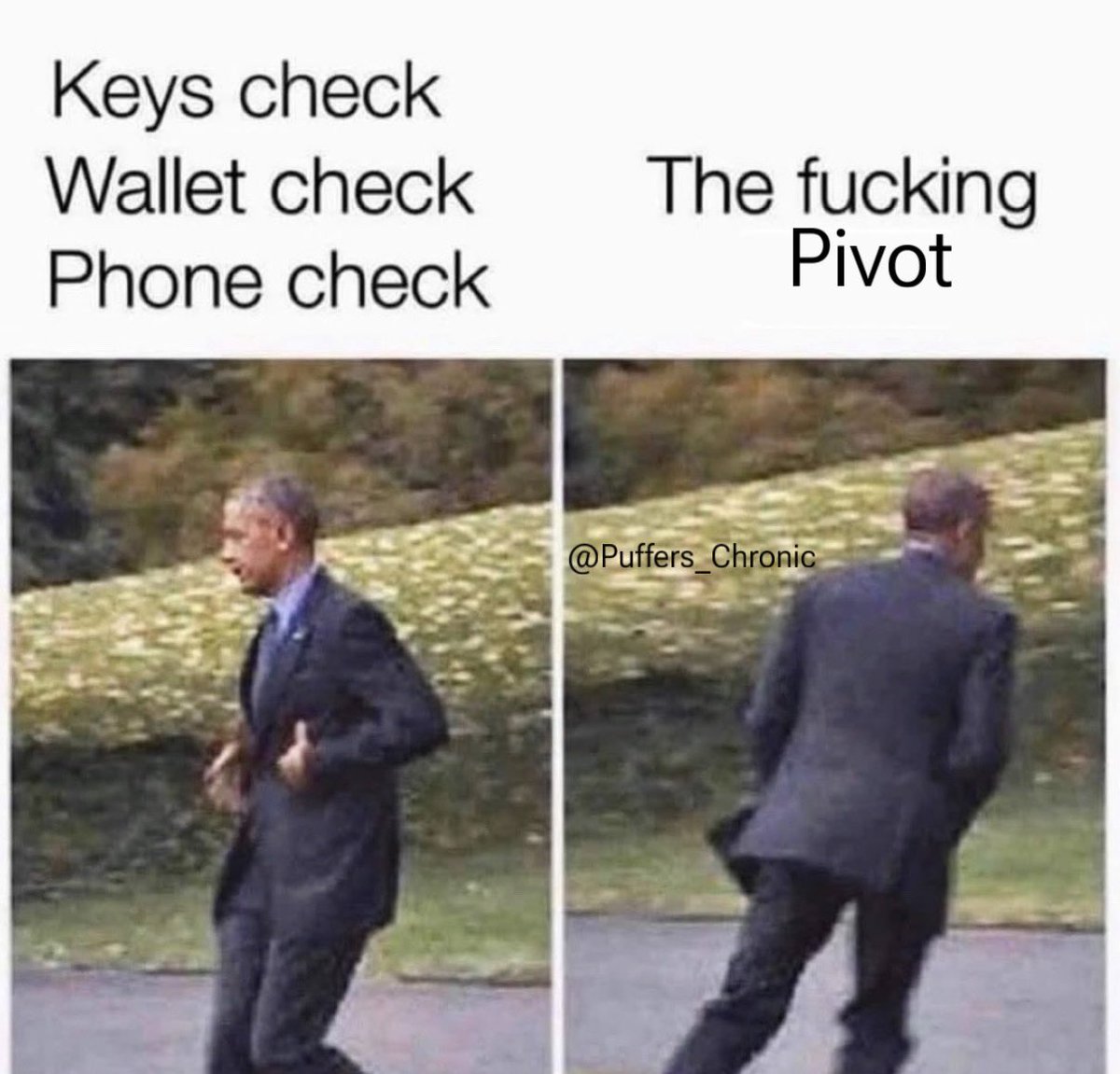 Puffers Chronic tweet media