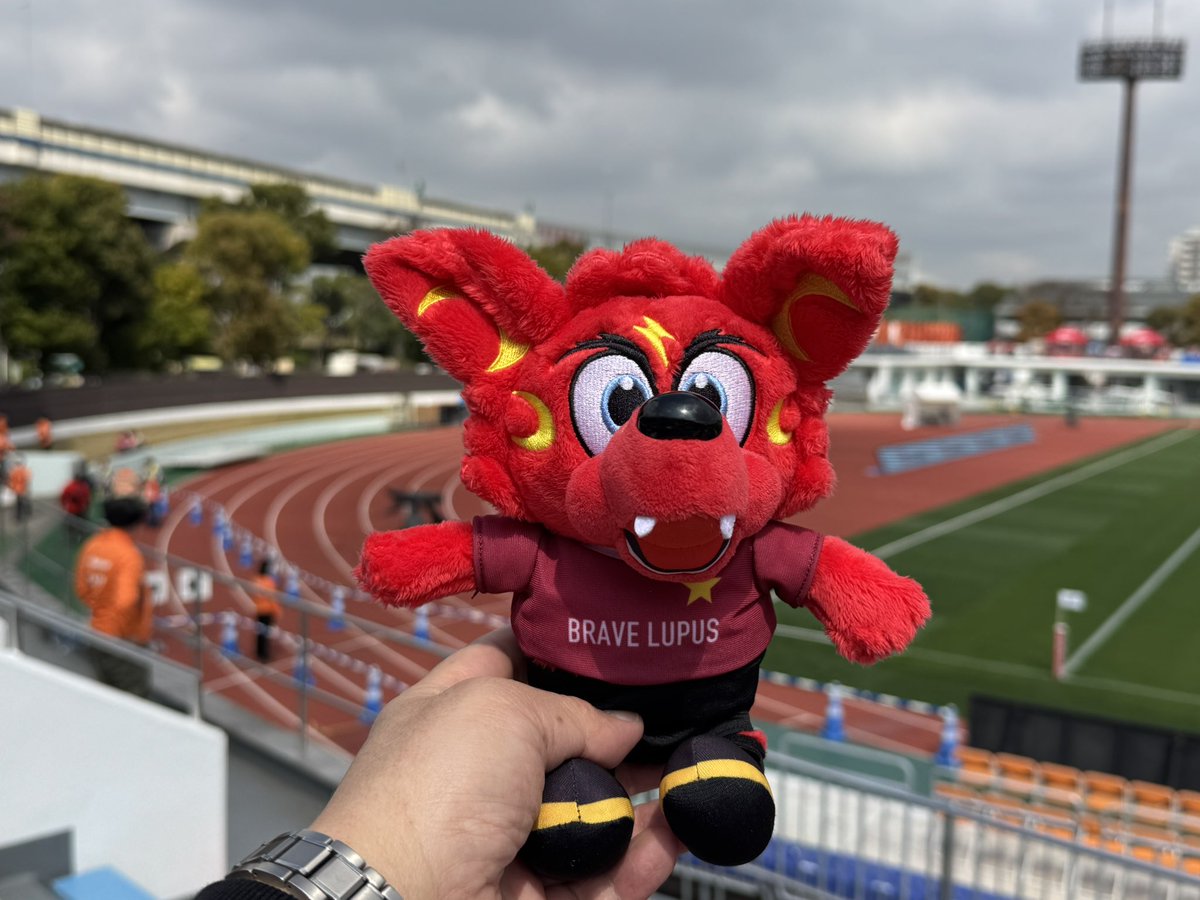 佐藤浩太郎 tweet media