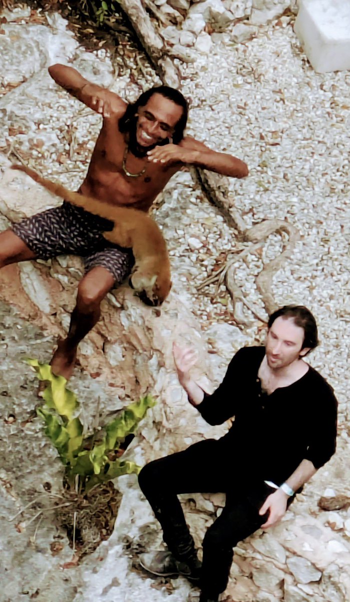 Steve M. Boyle 🗽🇺🇸 tweet media