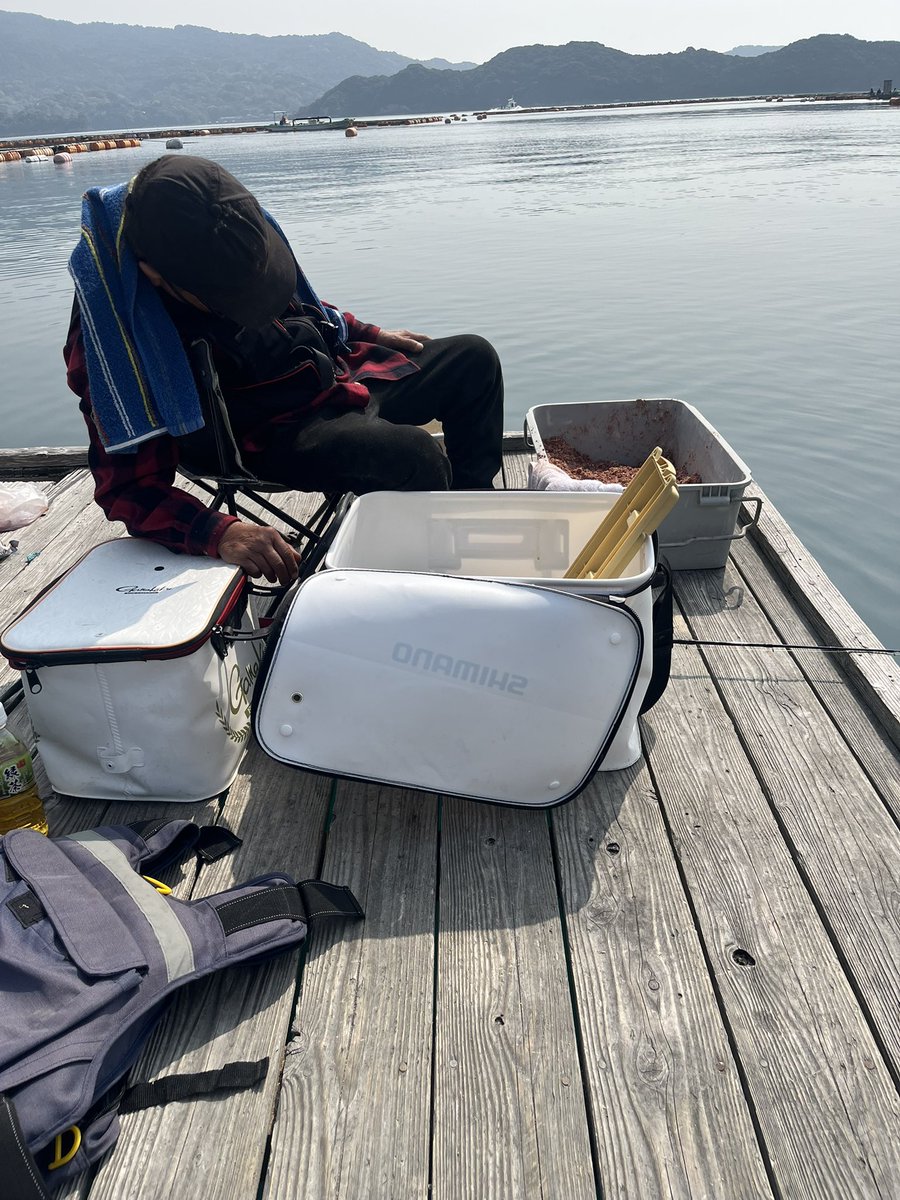 きんたまサロンパス楽しむ tweet media