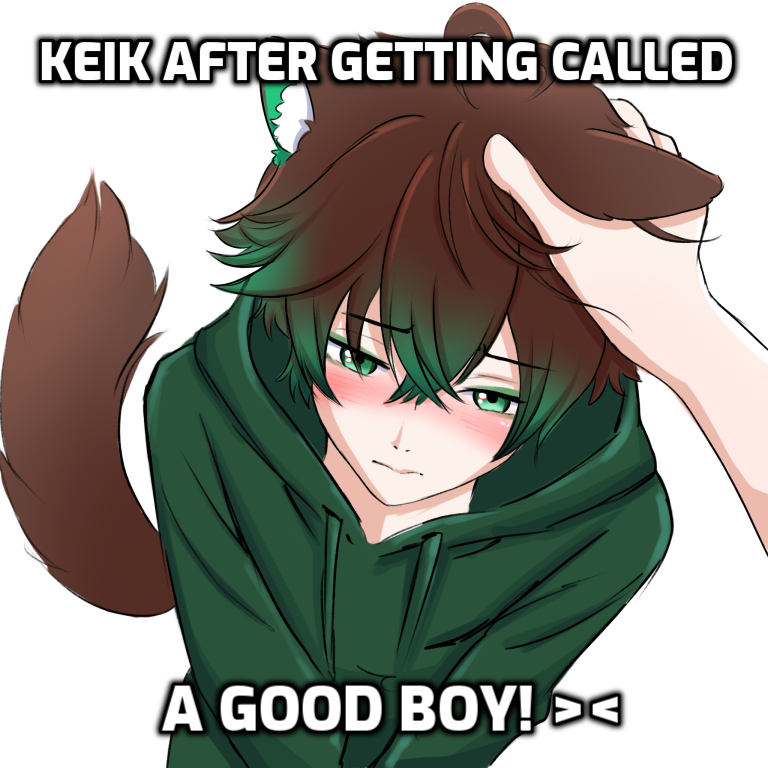 hoshichaan_ 🍉✨ | REDEBIUT 2026 tweet media