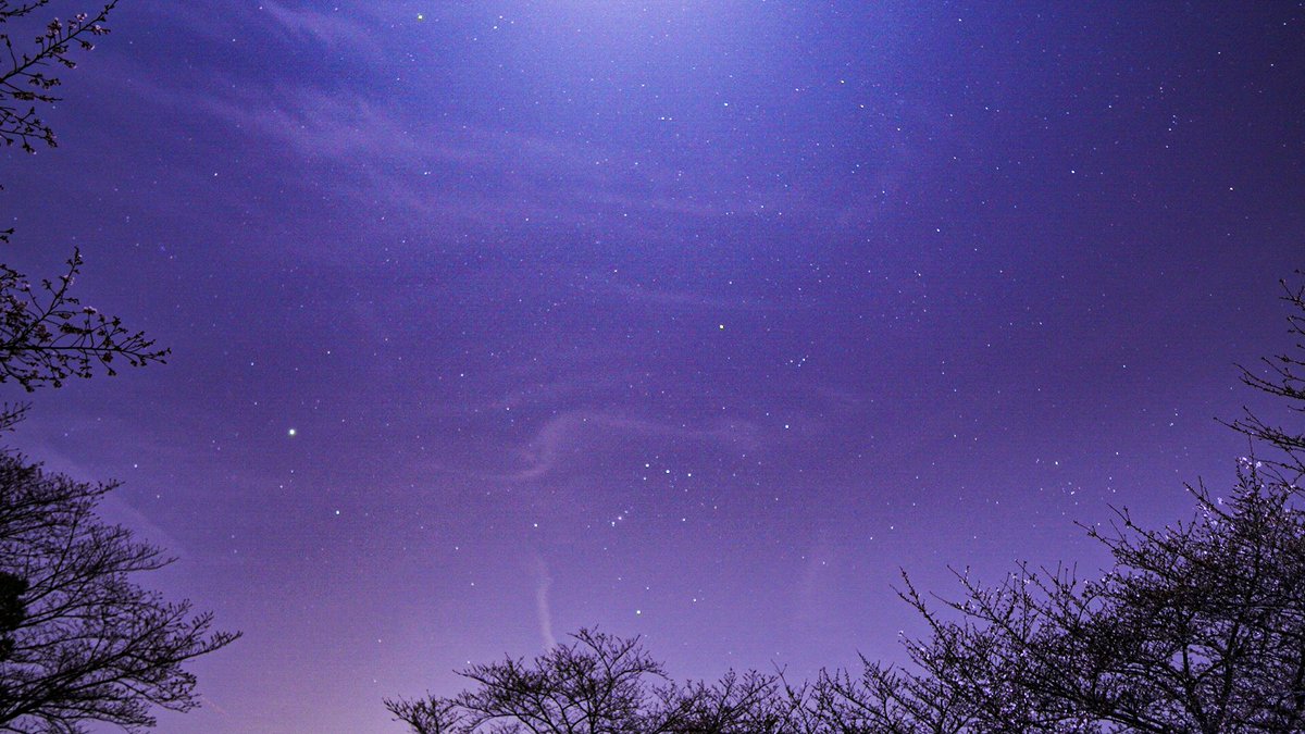 動かないと死んでしまう怜央(さとなか):④🌈🕒、🚃🌠、🐙🐟 tweet media