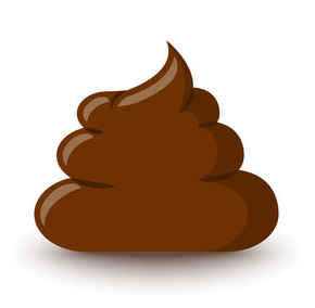 Geronimo Ant tweet media