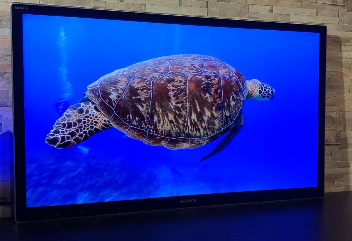 パソコン病院 tweet media