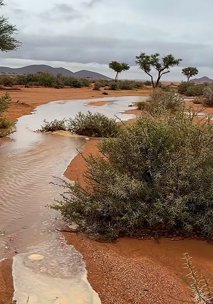 ( بشّر المشائين بالظلم الى المساجد بالنور التام يوم القيامة )