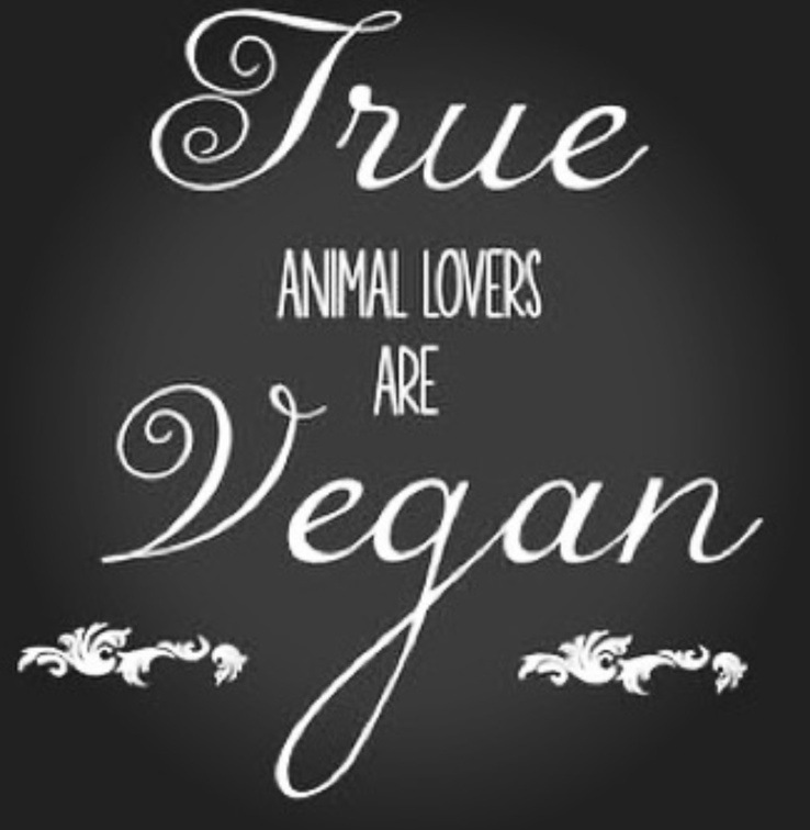 Vegan Future (@veganfuture) on Twitter photo 