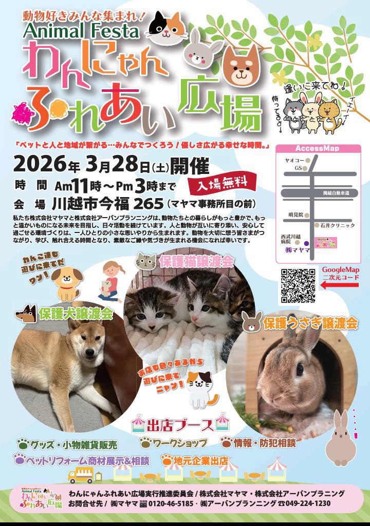 jun 🐾　里親募集中　&　預かりさん募集中　🐾 tweet media