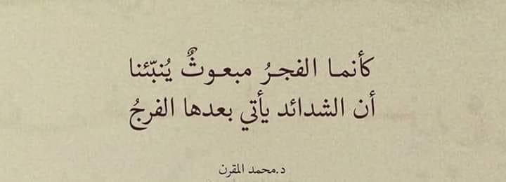 فاديا tweet media