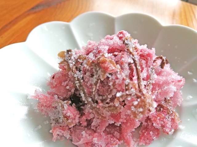 やなぎに桜 tweet media