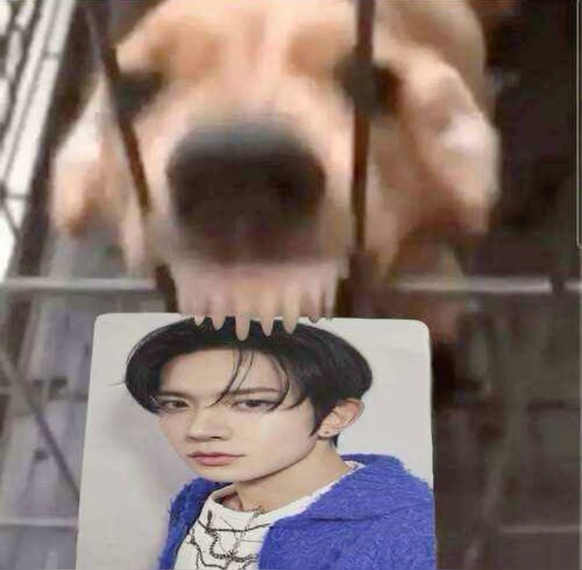 nana🐈⬛ enhypen is 7 !!!lcdtm tweet media