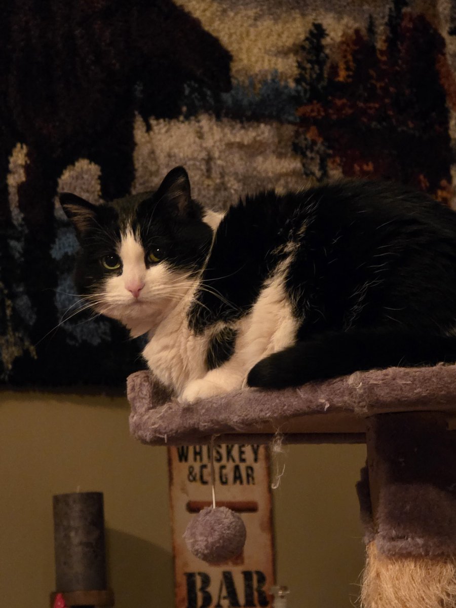 𝕻𝖍𝖆𝖒𝒚𝖓𝖓 tweet media