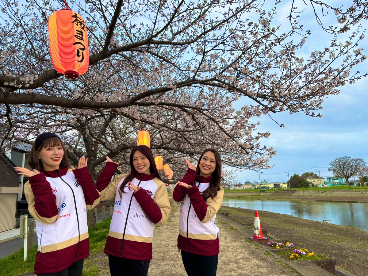 AlphaVenus tweet media