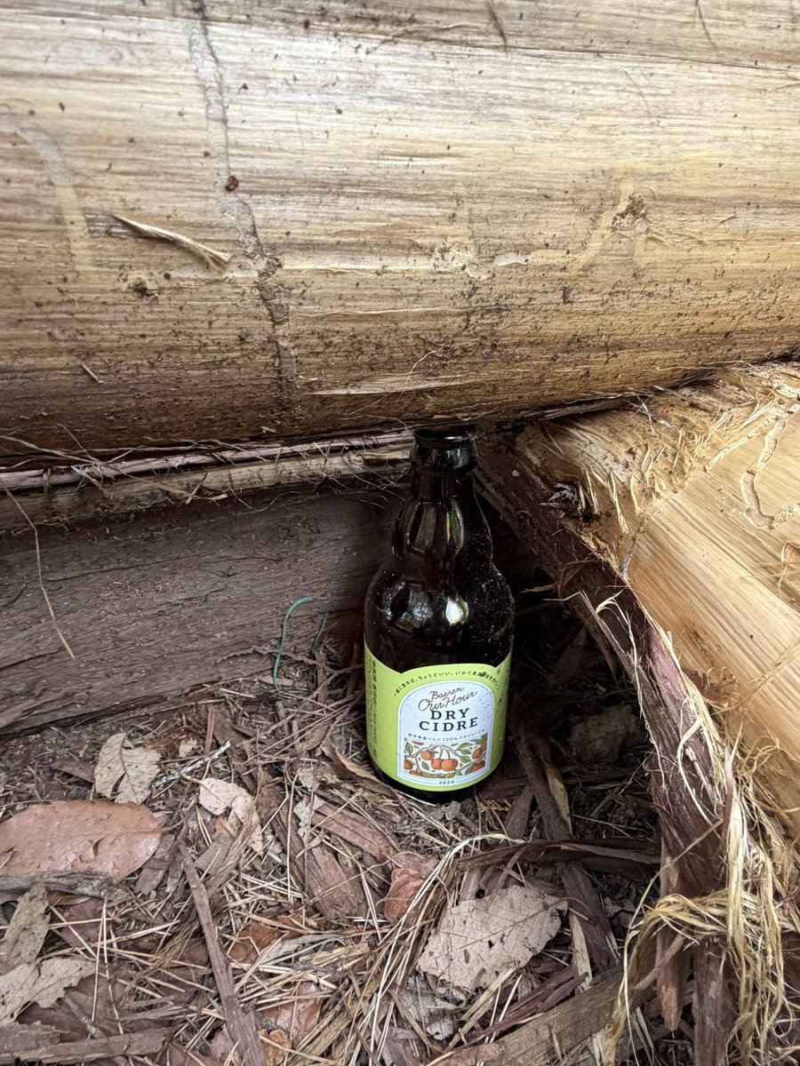 キャスバル・鈴・ダイクン tweet media