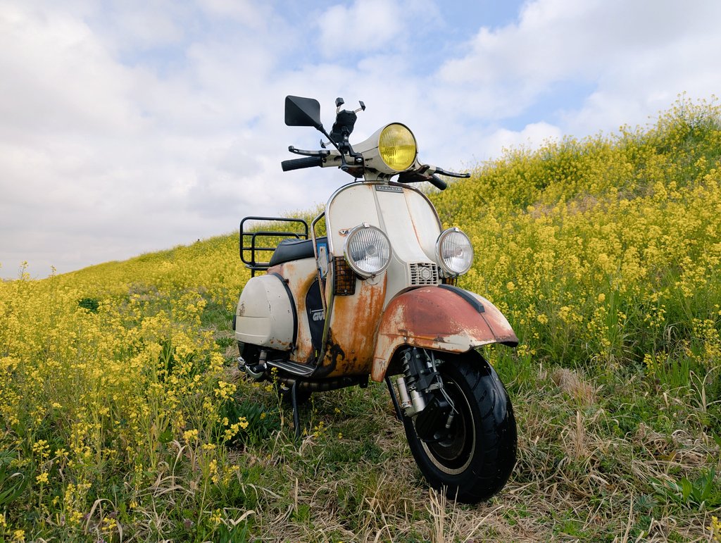 antique_cube's tweet photo. お散歩♪(´―`)春を探しに♪
菜の花が満開でした♪
#Vespa
#P200E https://t.co/fFv9unM5Nd