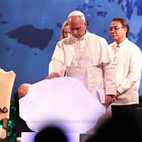 Permaculture Paladin tweet media