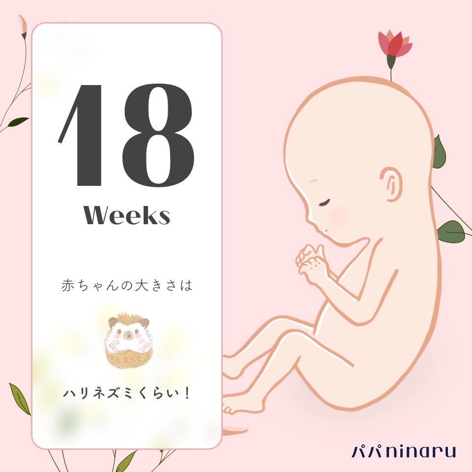 kiki＊初マタ＊19w tweet media