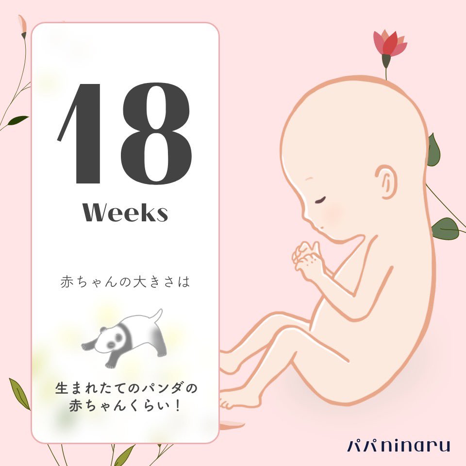 kiki＊初マタ＊19w tweet media