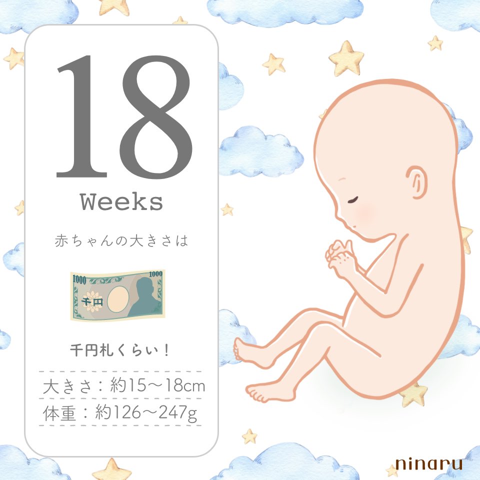 kiki＊初マタ＊19w tweet media