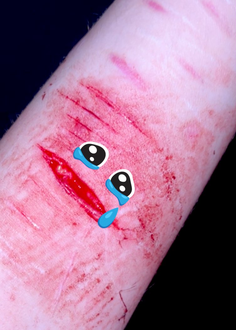 ˚✧ Noah˚✧ tweet media