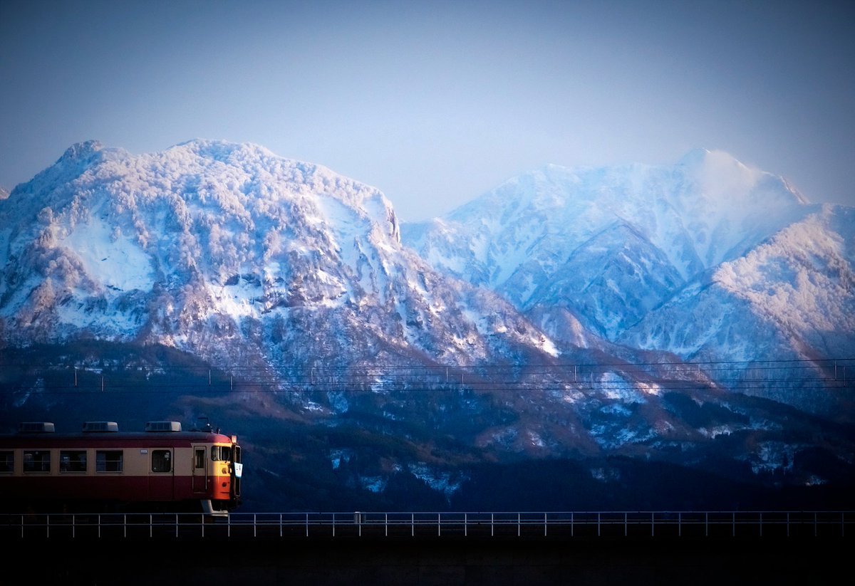 こけだま写真館 tweet media