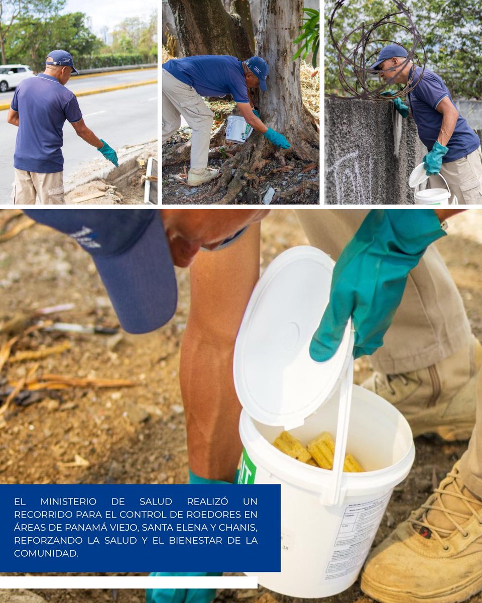 Junta Comunal de Parque Lefevre tweet media