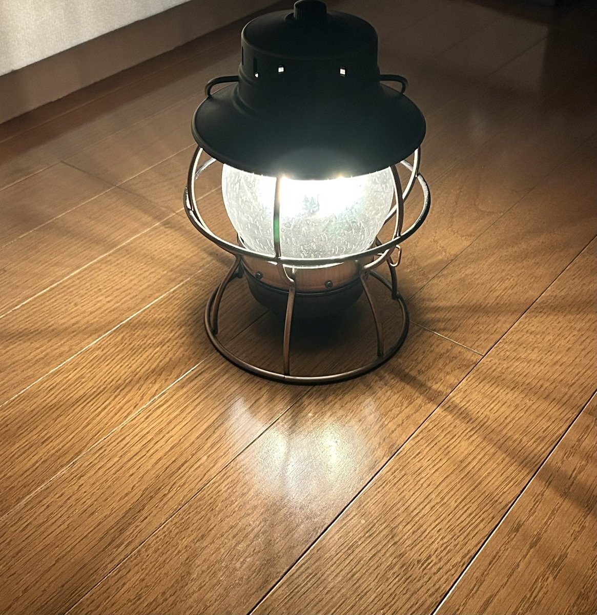 🐾〜マッツ〜🐾 tweet media