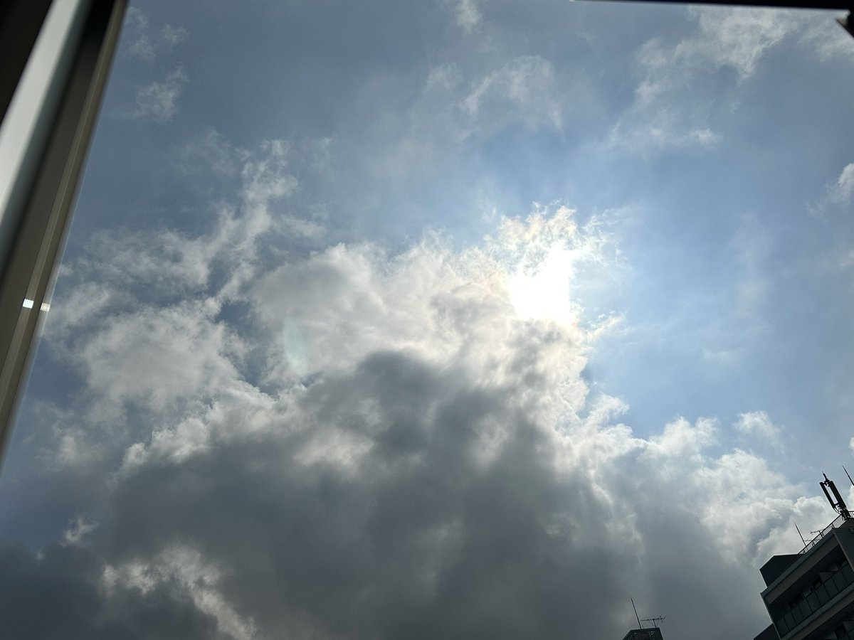 🐾〜マッツ〜🐾 tweet media