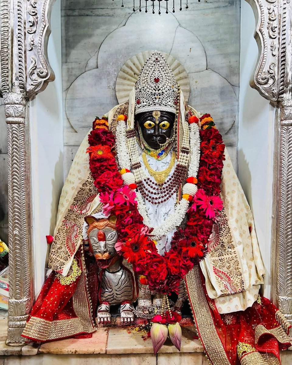 dr Avanindra Kumar Rai tweet media