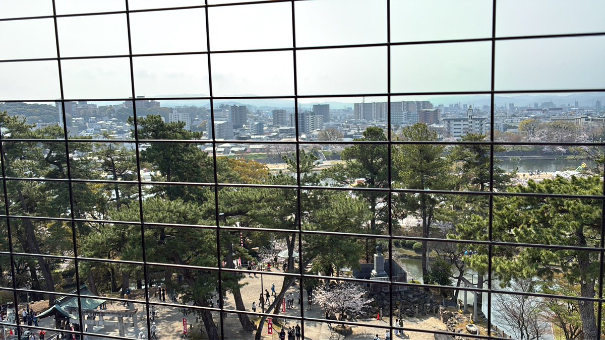 ごまみそずい tweet media