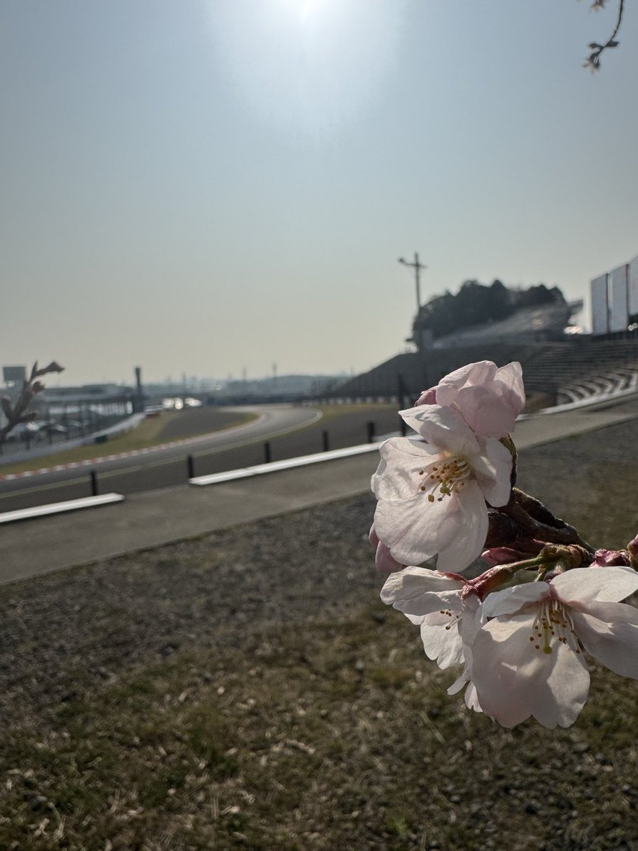 よっしぃ tweet media