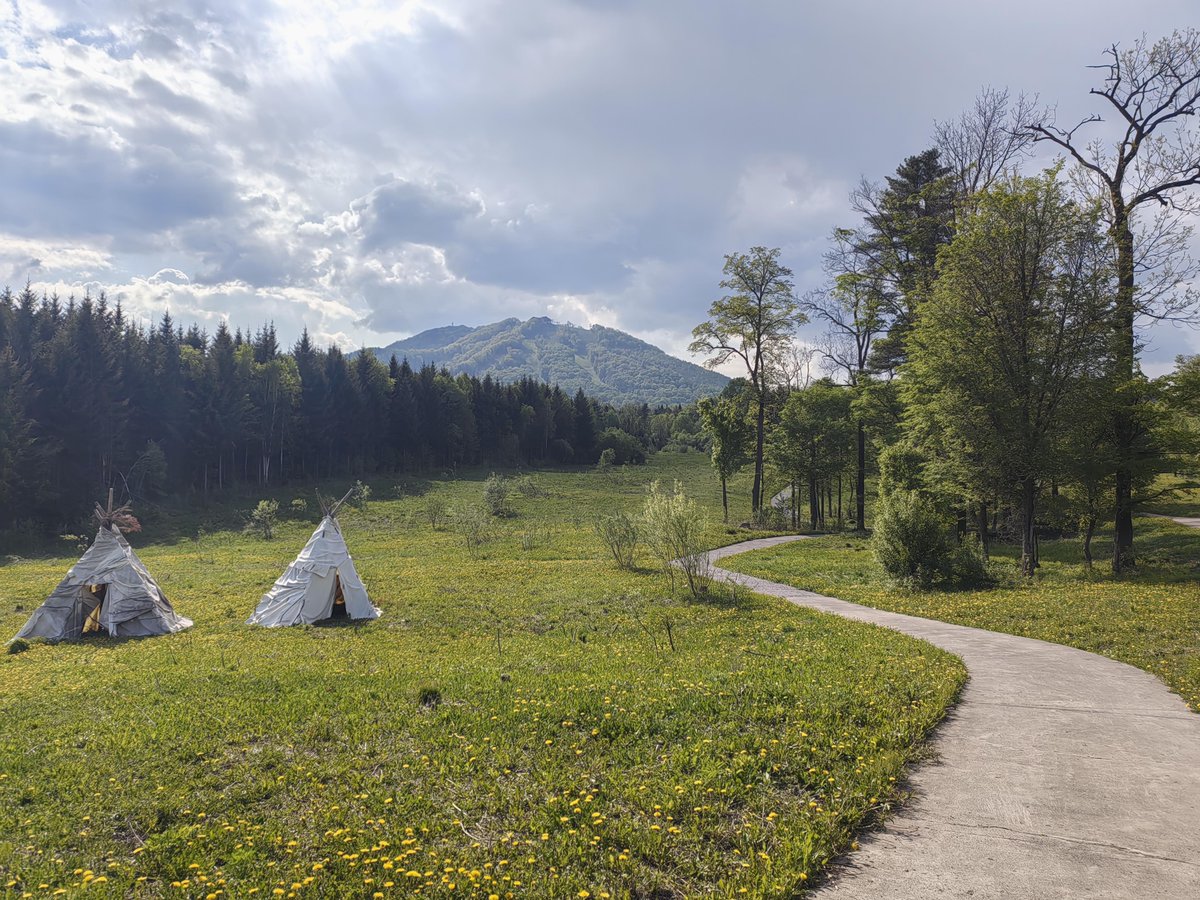 Hamza Güvcin tweet media