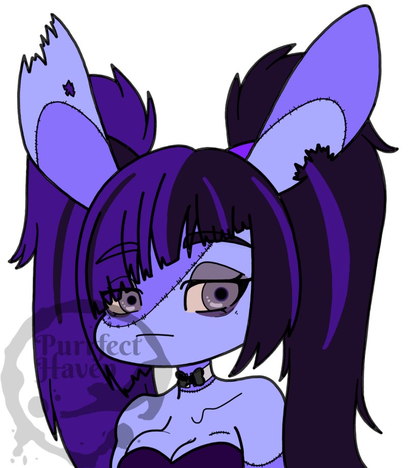 PurrfectHaven tweet media