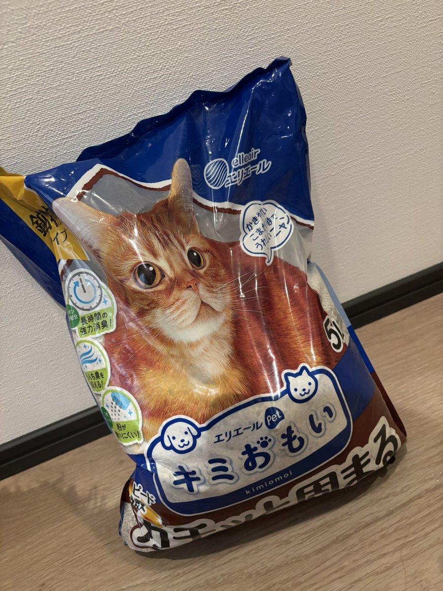 黒崎るあ🦋撮影垢 tweet media